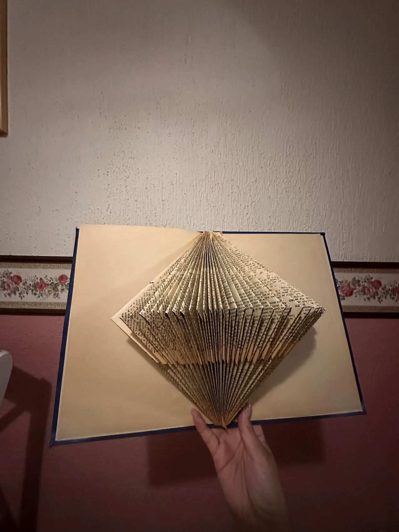 Libro con las hojas dobladas formando una figura de abanico, sostenido con una mano.
